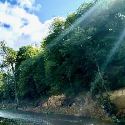 Blick auf das Waldgrundstück über den Fluss