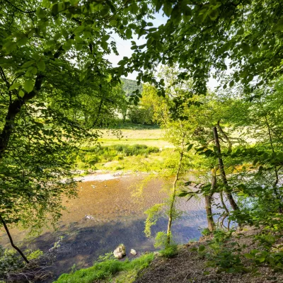 Blick auf den Fluss vom Waldgrundstück